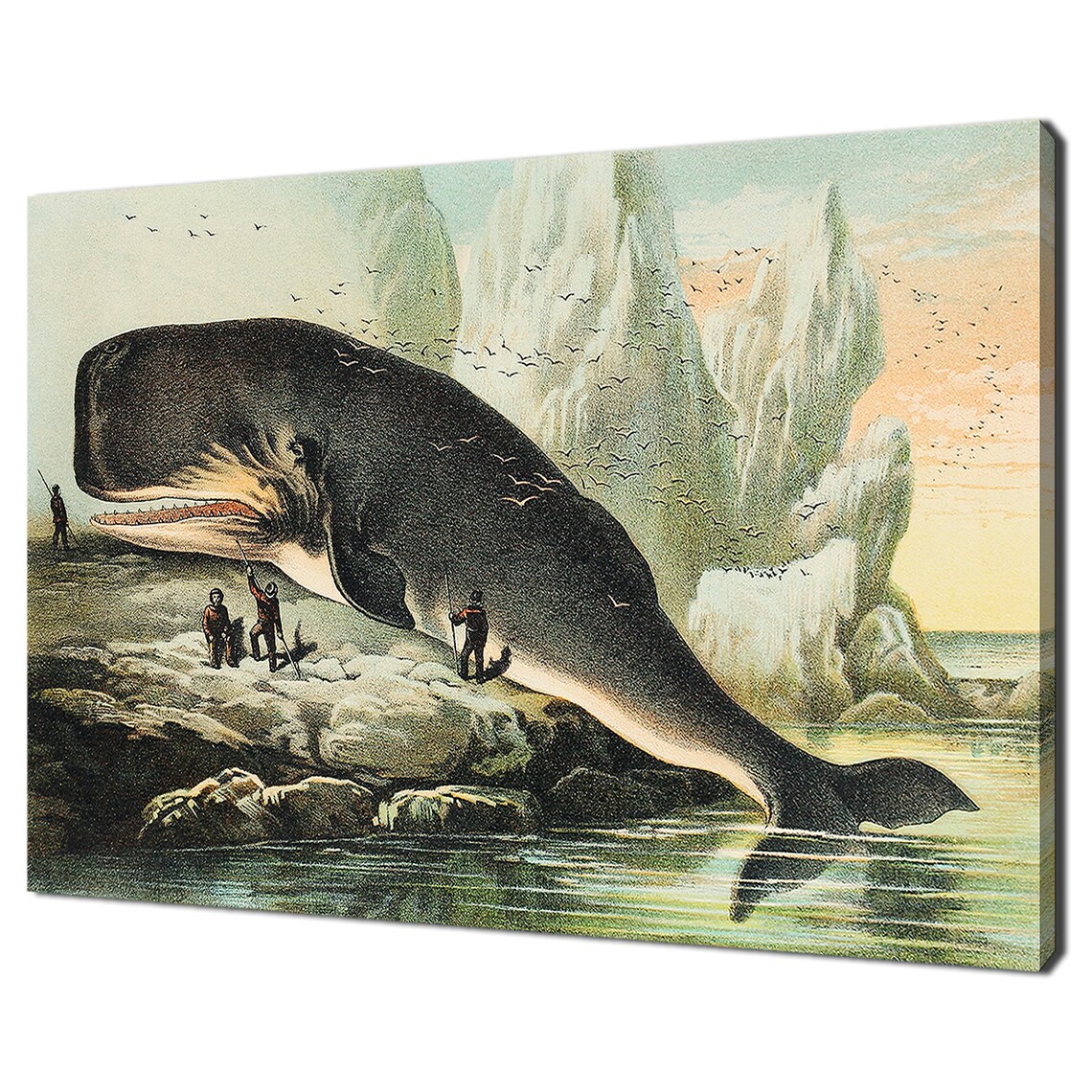 Vintage Sperm Whale 1880 Naturalist Illustration Arctic Hunt Chromolithograph Print