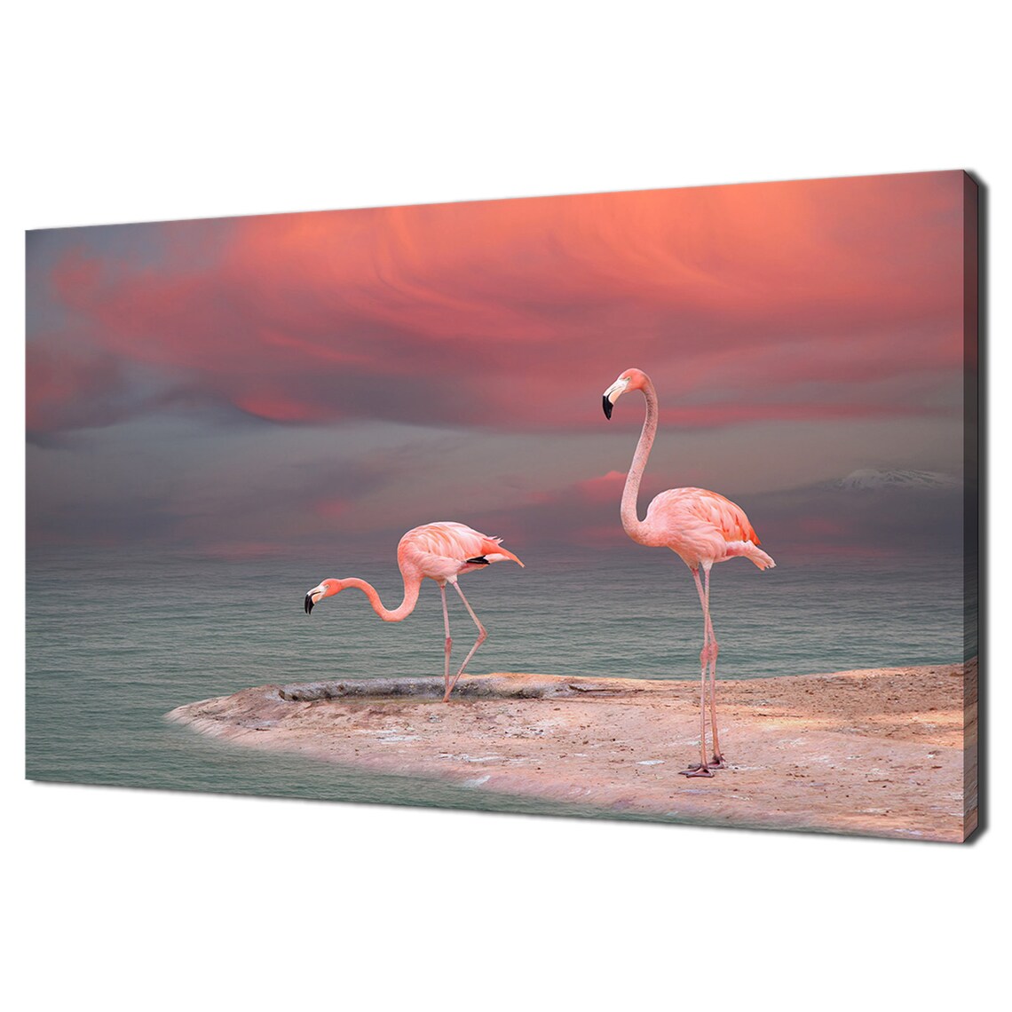 Pink Flamingo Birds on the Island, Modern Art Print