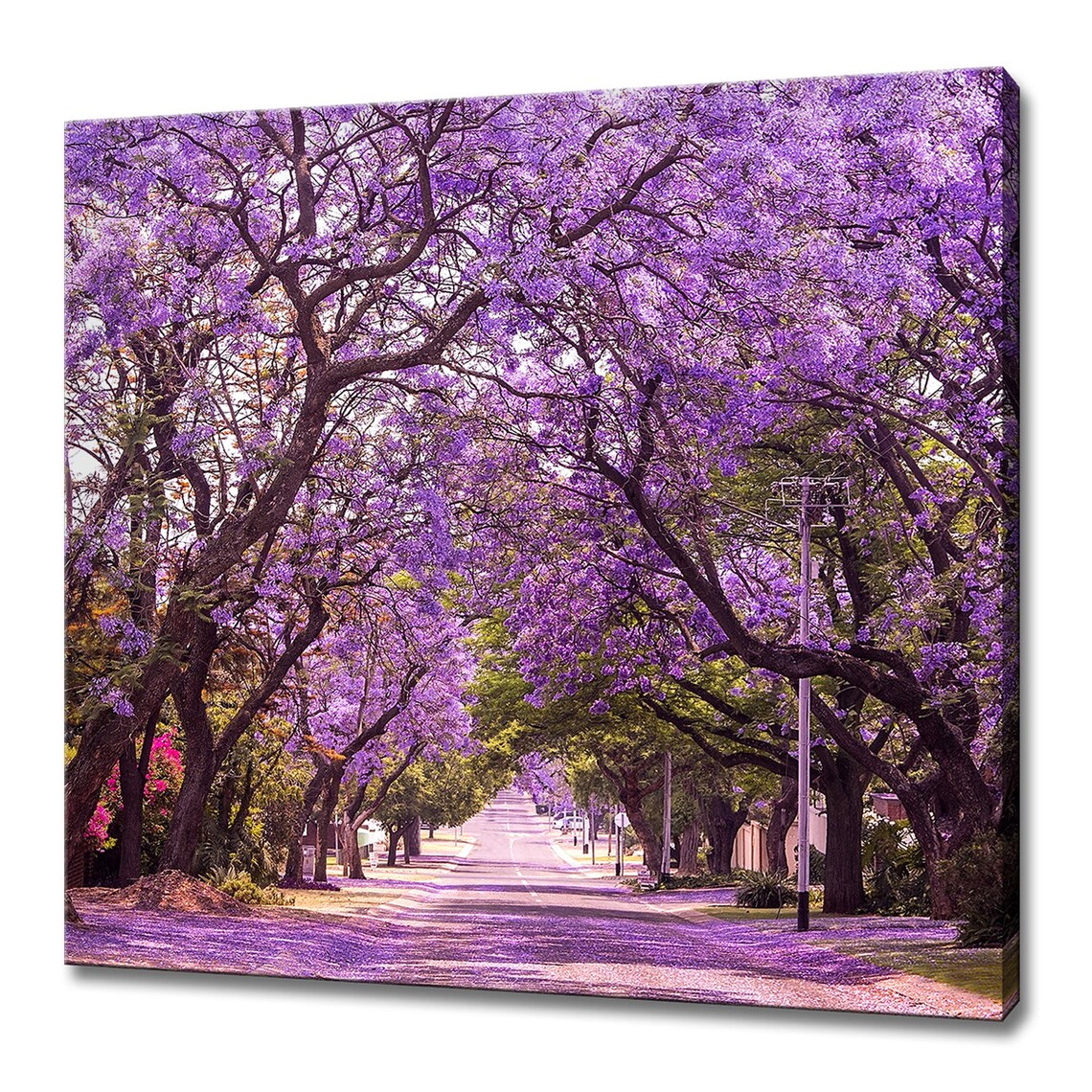 Jacaranda Trees Modern Art Print, Violet Alley