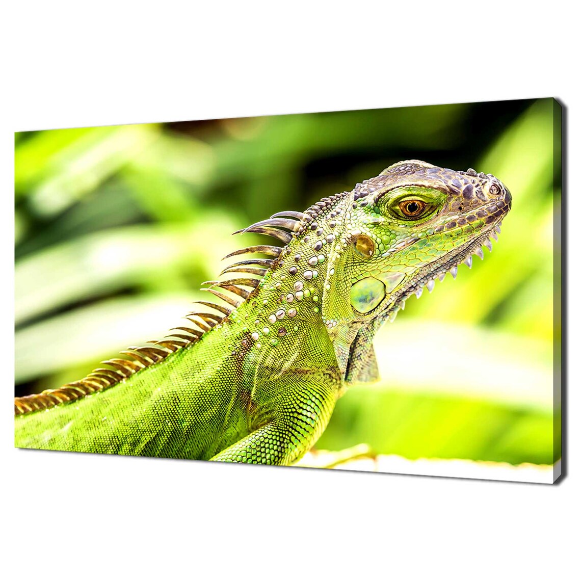 Green Iguana Lizard Close Up Portrait Vivid Nature Reptile Art Print
