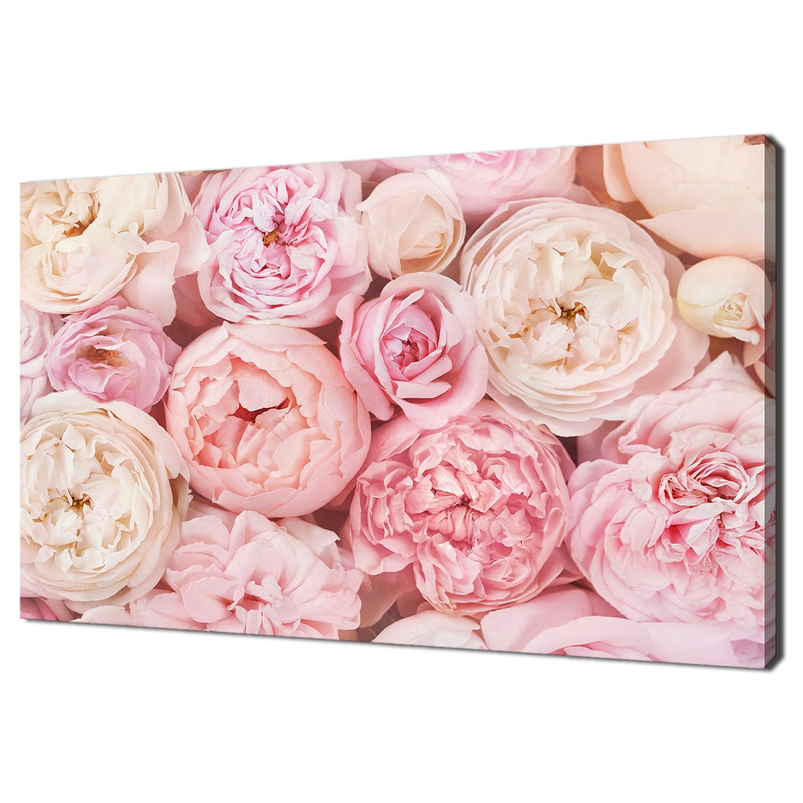 Pastel Pink Roses Blossom Bouquet Soft Romantic Floral Close Up Poster