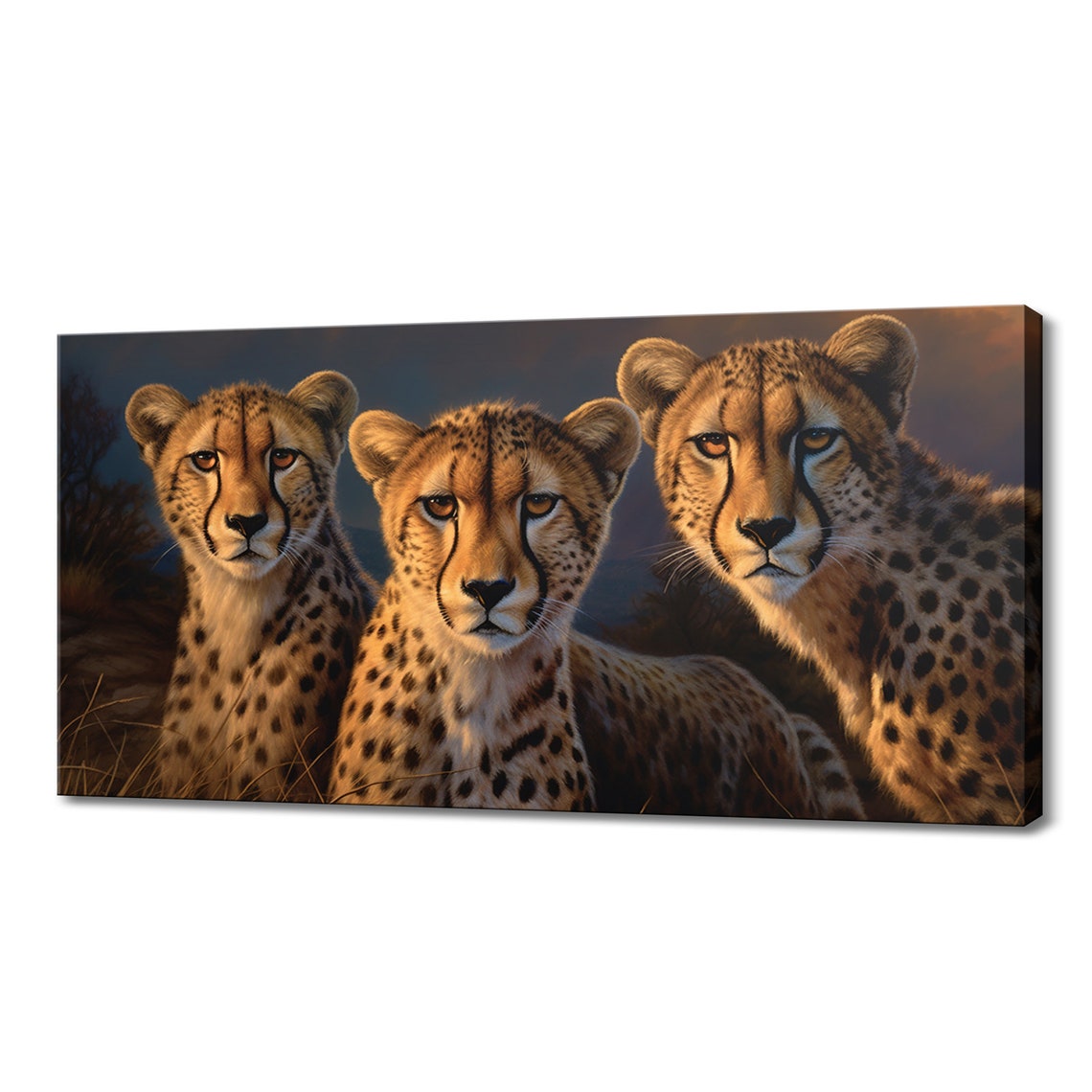 Three Cheetahs Close Up Dramatic Golden Light Painted Big Cats Poster