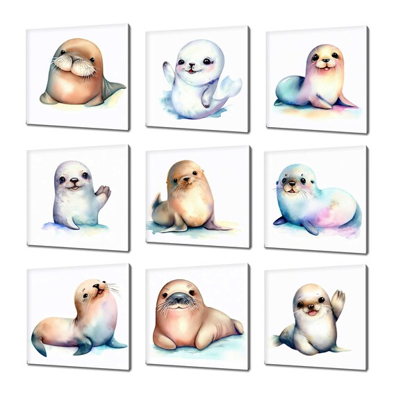 Collection Of Cute Seals Sea Animals Wall Art Many Designs Kids Nursery Room Art Seal Print Seal Wall Art