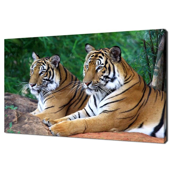 Two Tigers Resting On Rocks Green Jungle Wildlife Photography Wall Art