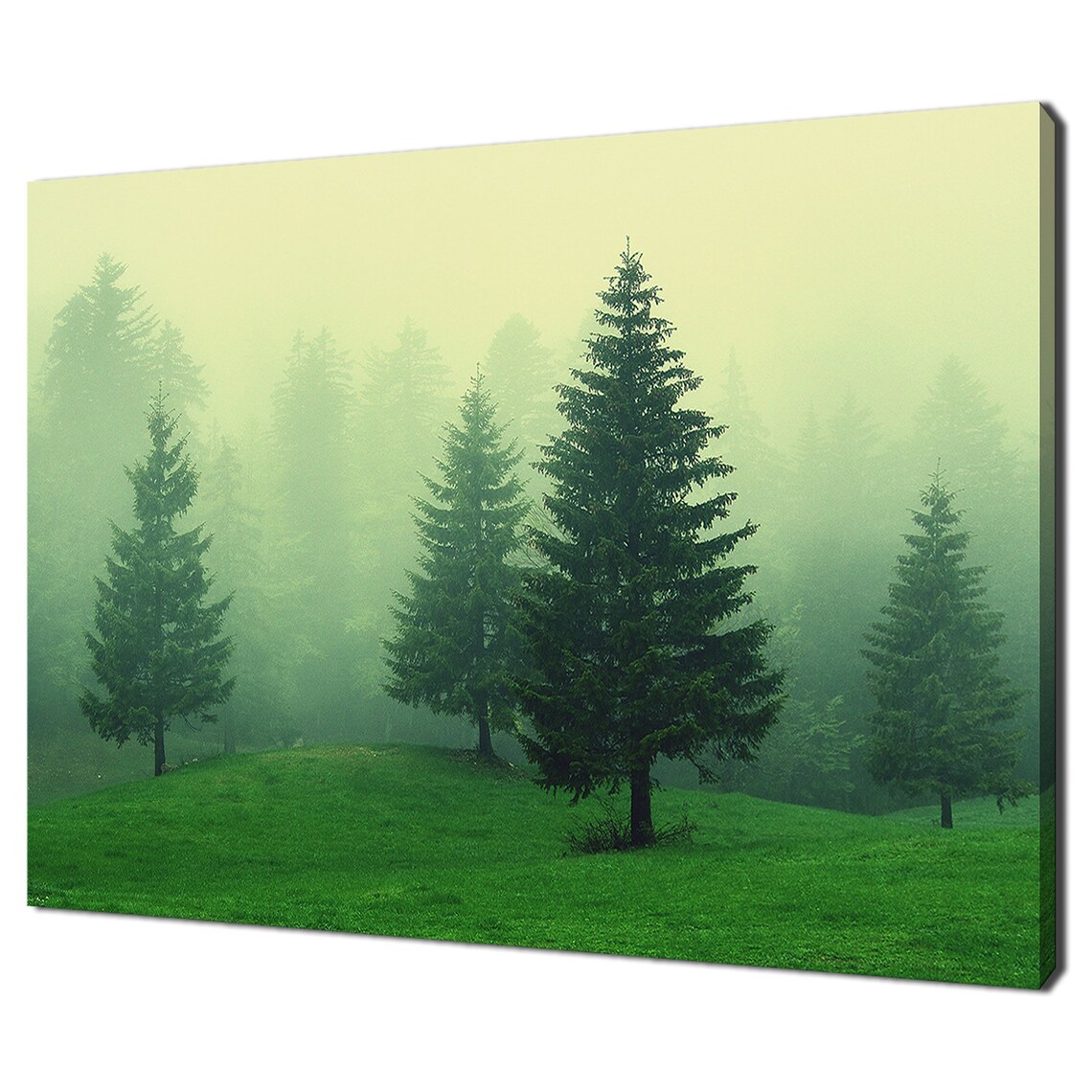 Green Pine Forest Trees On Foggy Day Modern Design Home Decor Print Wall Art Picture