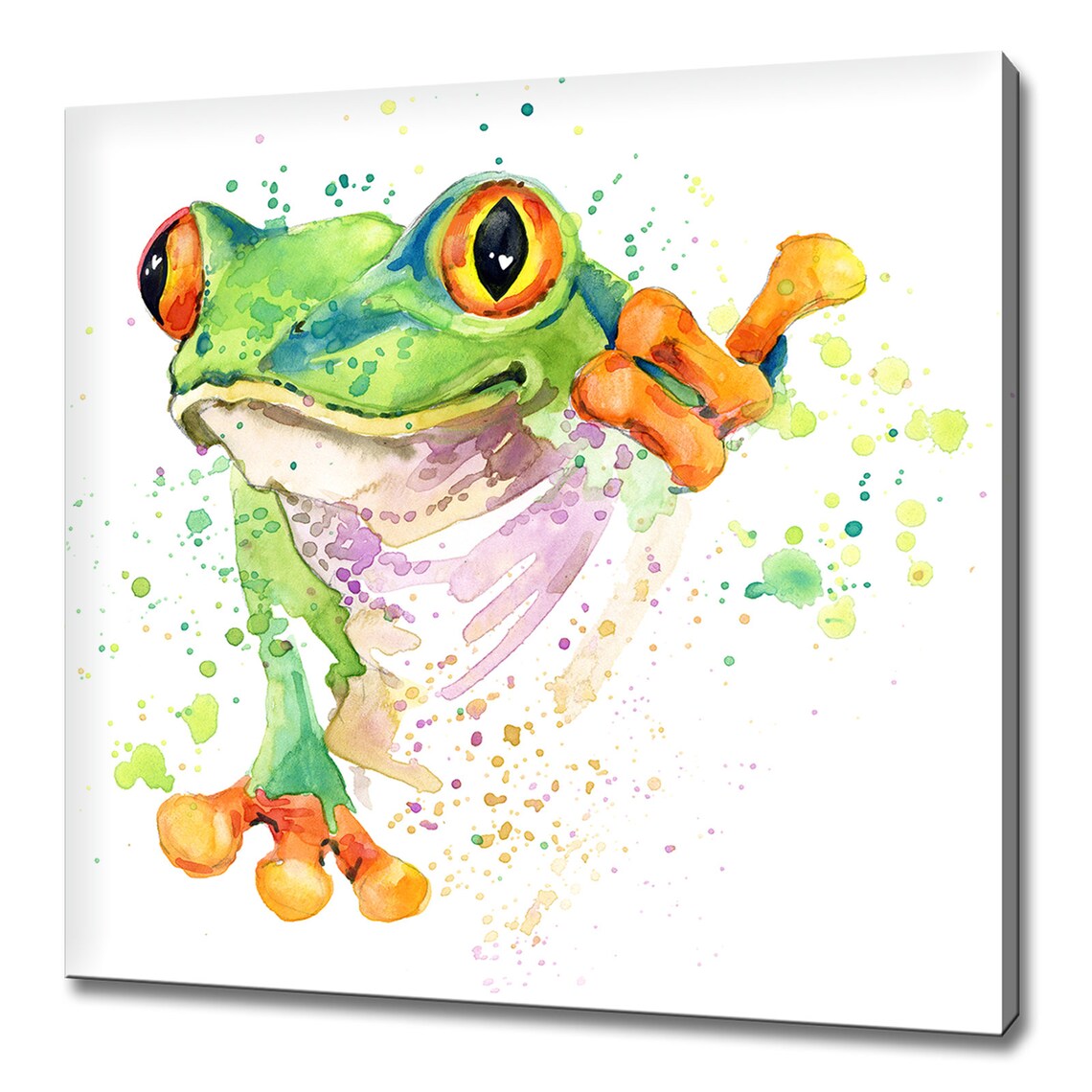 Red Eyed Tree Frog Watercolor Paint Splatter Tropical Animal Wall Art