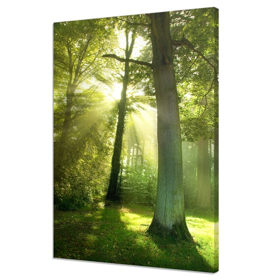 Early Morning Sun Beams Through Green Trees Forest Modern Design Home Decor Print Wall Art Picture Wall Hanging