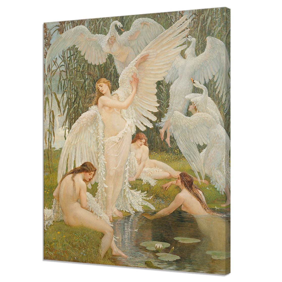 The Swan Maidens 1894 Walter Crane Reproduction Vintage Nude Painting Print Antique Female Portrait Beautiful Romantic Fine Art