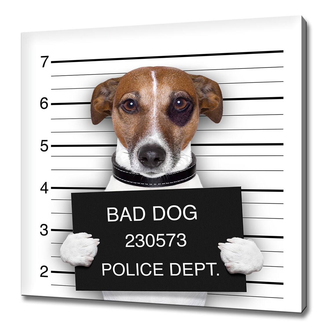 Bad Dog Police Mugshot Funny Jack Russell Terrier Humor Art Poster