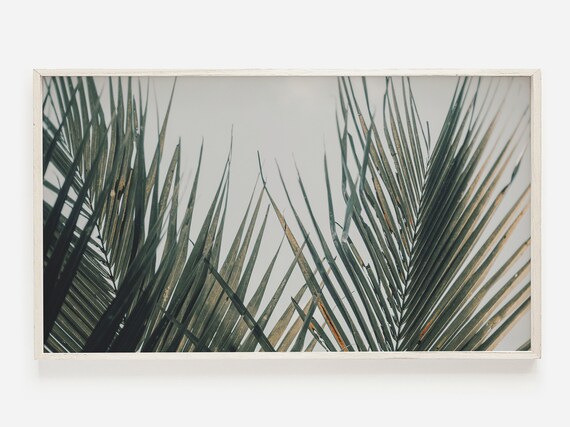 Green Palm Leaves Against Sky Minimal Tropical Botanical Photo Poster