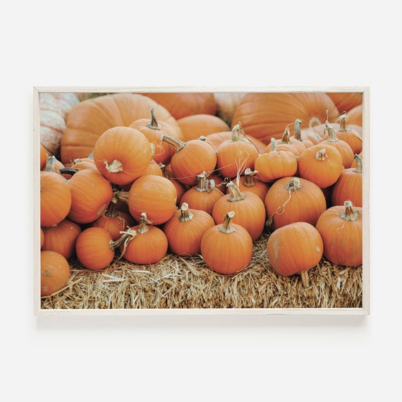 Pile Of Pumpkins Wall Art Pumpkin Harvest Print Orange Decor Autumn Farm Poster Rustic Fall On The