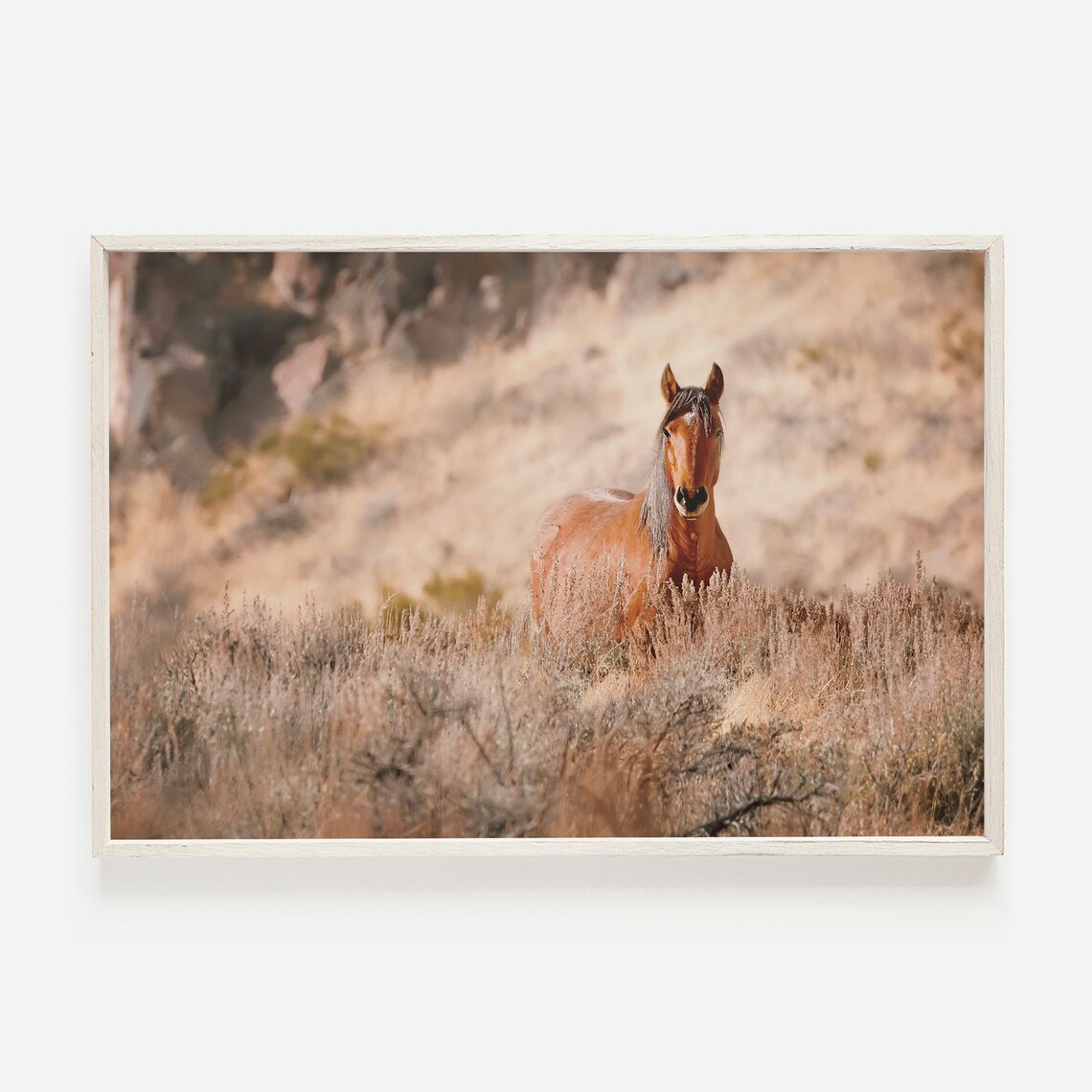 Wild Horse in Sagebrush Desert Chestnut Mustang Photography Poster