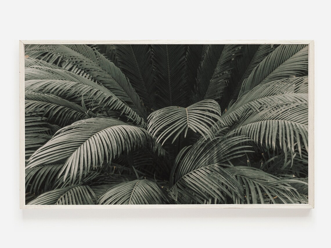 Samsung Frame Tv Art Tropical Palm Moody Tree Print Modern For Photo Plant