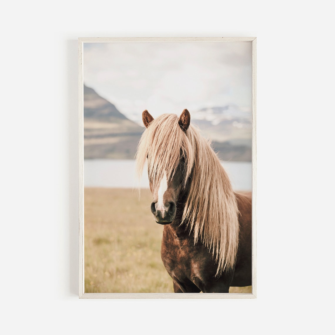 Icelandic Pony Art Print, Modern Horse Poster