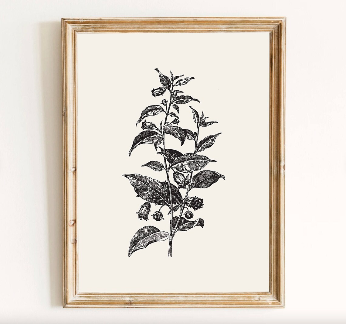 Vintage Botanical Illustration, Moody Floral Art Print - Image 2