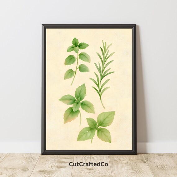 Watercolor Kitchen Herbs Mint Basil Rosemary Botanical Art Poster
