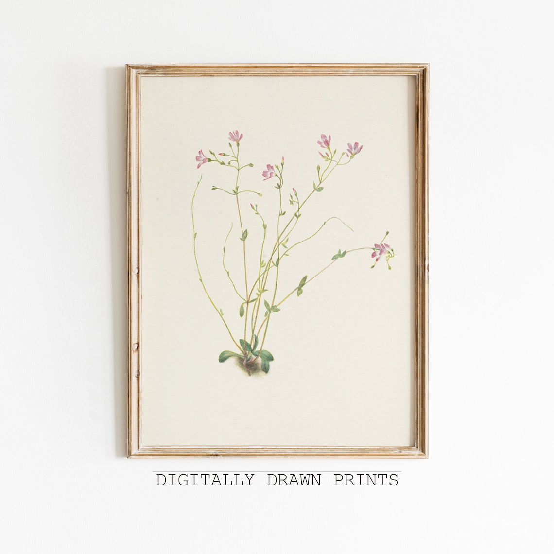 Pink Blossom Sprigs Vintage Botanical Illustration Wall Art Poster