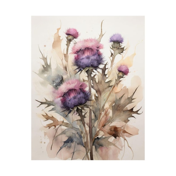 Purple Pink Thistle Flowers Watercolor Painting Wildflower Poster