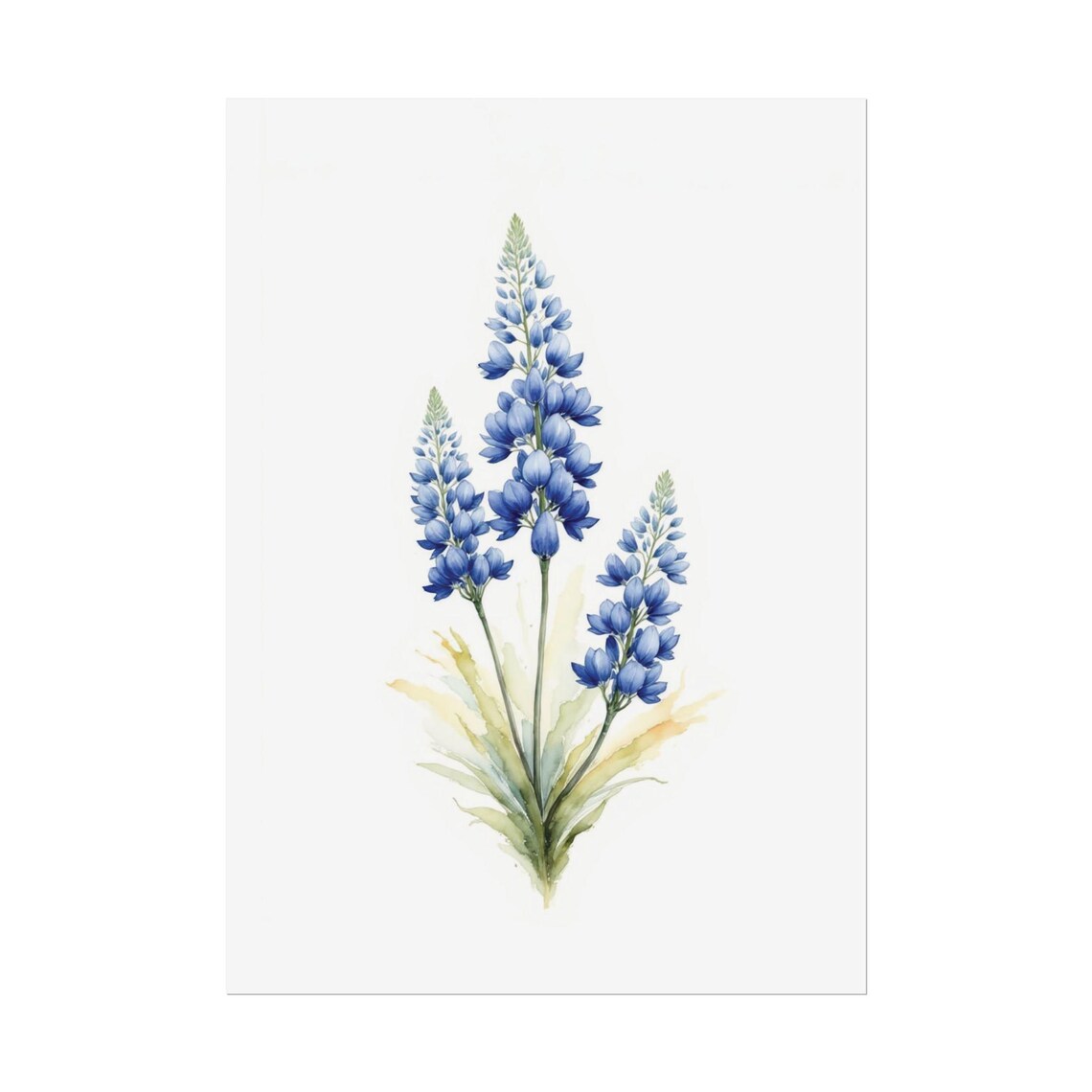 Bluebonnet Flowers Painting, Minimalist Texas State Flower Art Print
