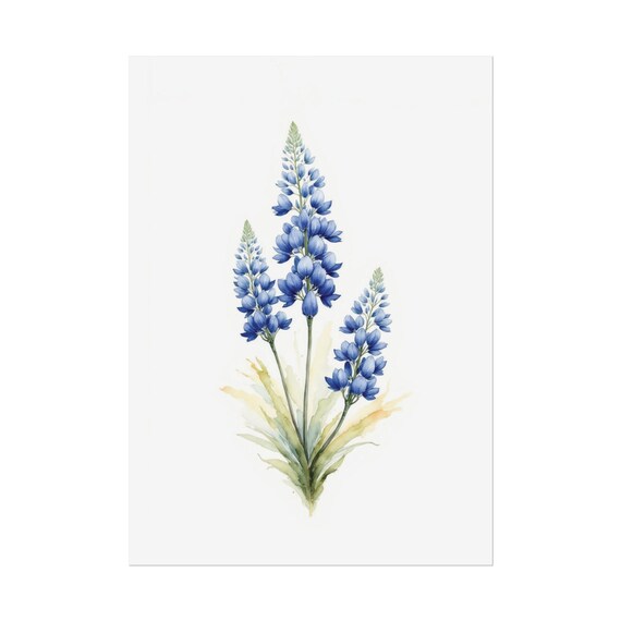Bluebonnet Flowers Painting, Minimalist Texas State Flower Art Print