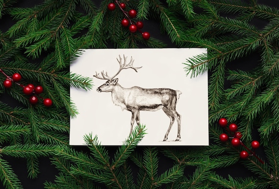 Hand Drawn Reindeer Winter Illustration Elegant Christmas Poster