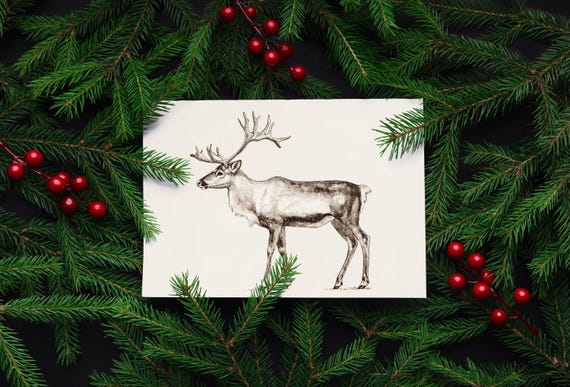 Winter Reindeer Wall Art Holiday Illustration Christmas Botanical Print At Home