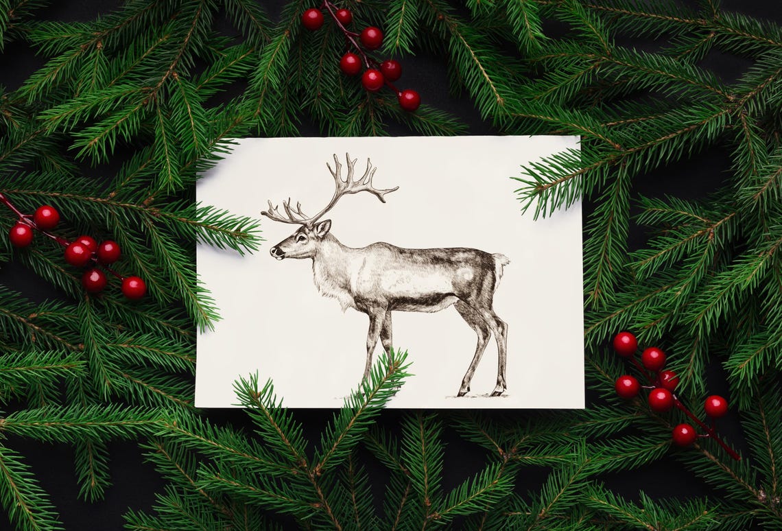 Winter Reindeer Wall Art Holiday Illustration Christmas Botanical Print At Home