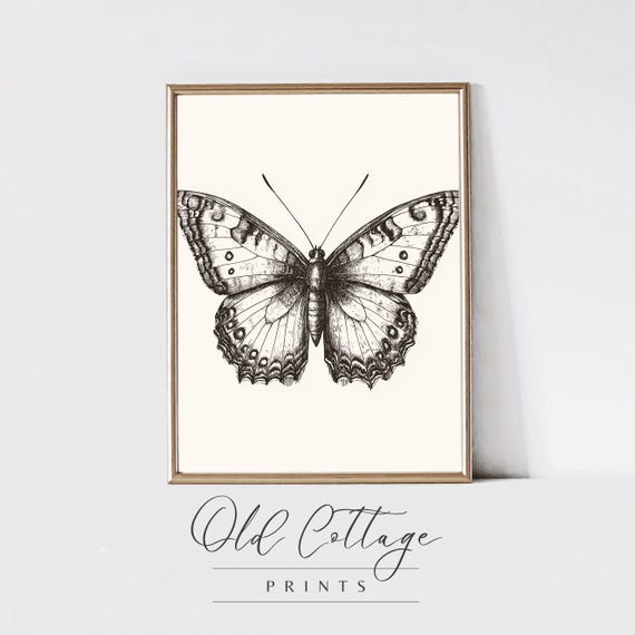 Intricate Butterfly Illustration Black And White Print Nature Inspired Art Minimalist Wall Decor Botanical Print Butterfly
