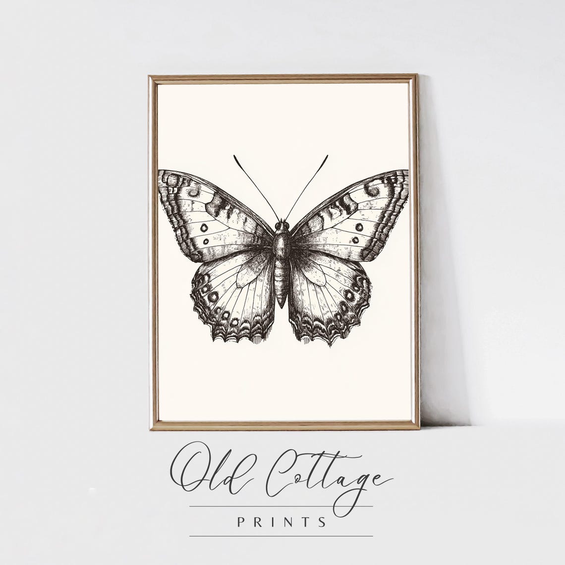 Intricate Black and White Butterfly Illustration Nature Art Poster