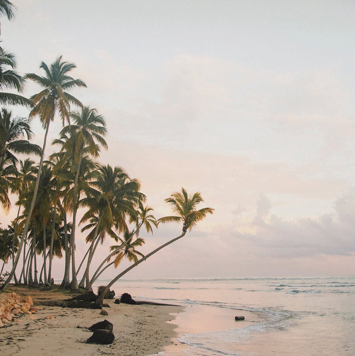 Tropical Palm Beach Sunset Leaning Palm Shoreline Ocean Travel Poster - Image 2