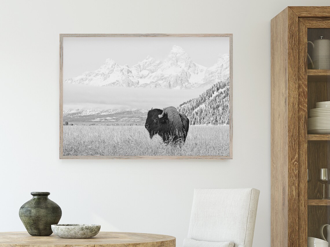 Black and White Bison in Grand Teton Wyoming Art Print - Image 4