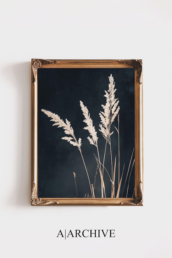 Pampas Grass Plumes Beige Black Background Modern Botanical Poster