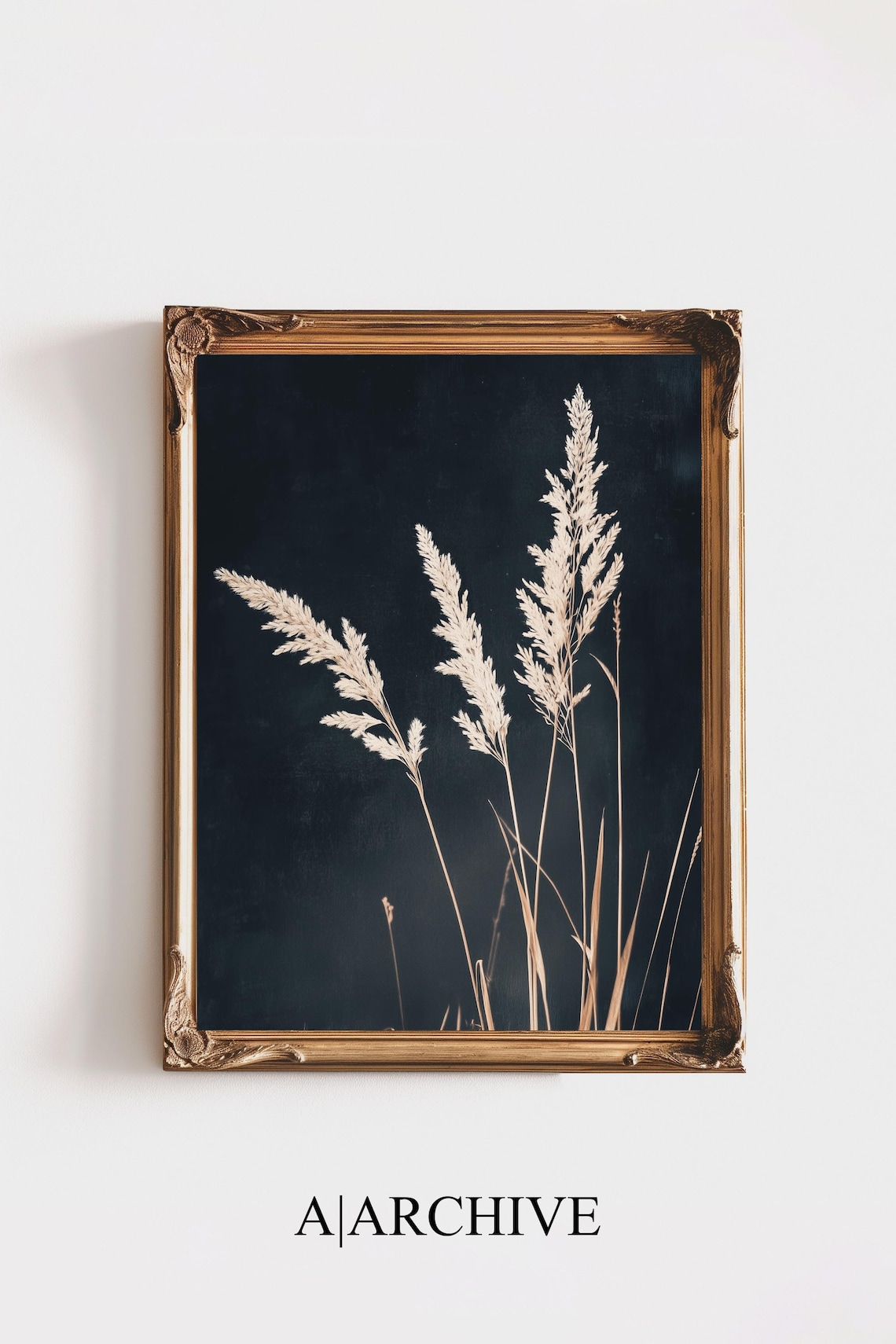 Pampas Grass Plumes Beige Black Background Modern Botanical Poster