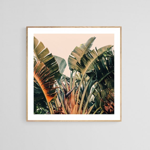Banana Leaf Print, Tropical Botanical Art Print