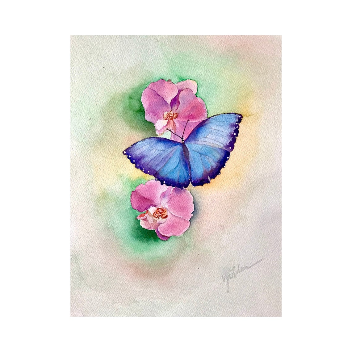 Vivid Blue Butterfly Resting on Pink Orchids Watercolor Poster - Image 2