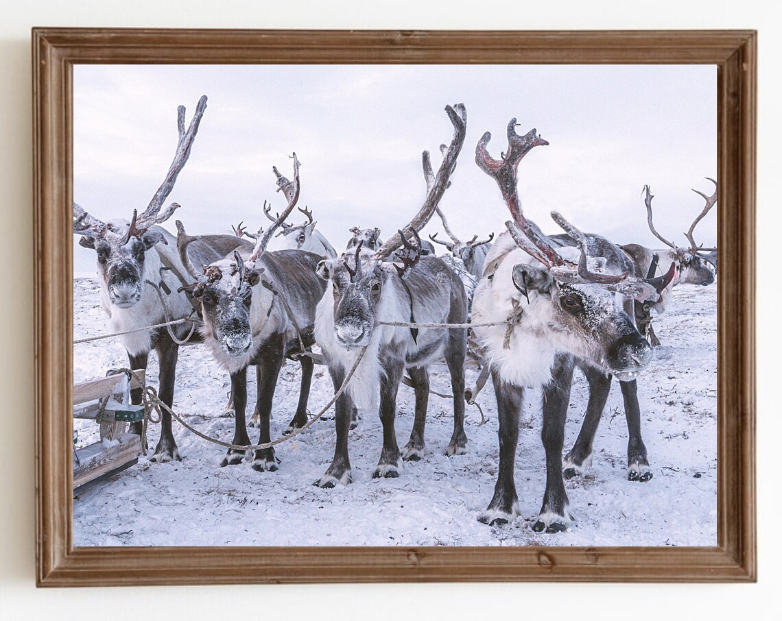 Nordic Winter Reindeer Print, Scandi Holiday Decor