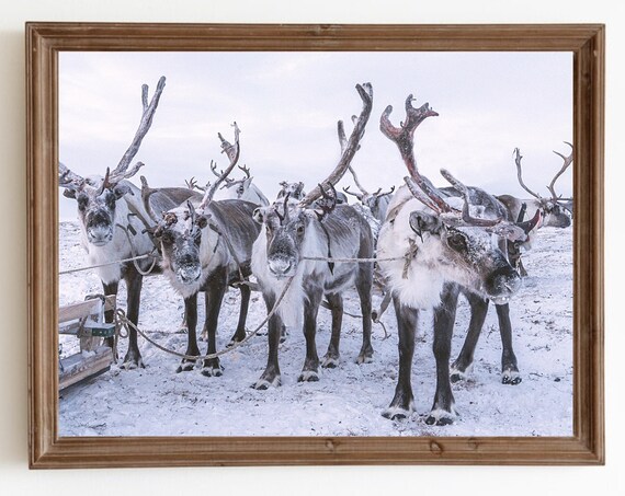 Nordic Winter Reindeer Print, Scandi Holiday Decor