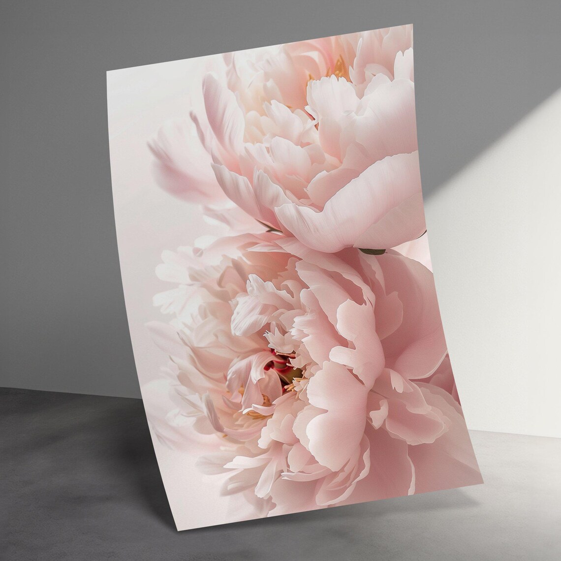 Soft Pink Peony Flower Close Up Macro Floral Photography Poster - Image 3