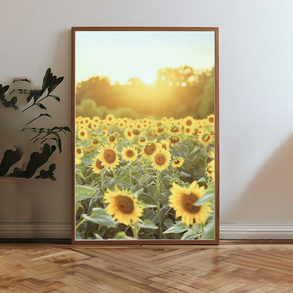 Warm Sunflower Field Golden Hour Sunset Nature Photography Poster