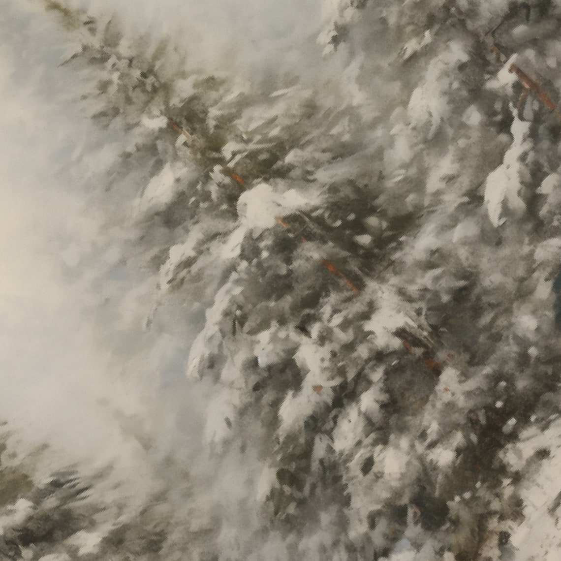 Snow-Covered Evergreen Trees In A Misty Winter Forest Poster - Image 3
