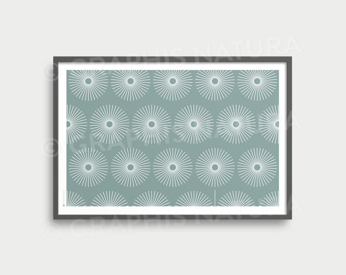 White Sunburst Flower Pattern on Sage Green Botanical Art Poster