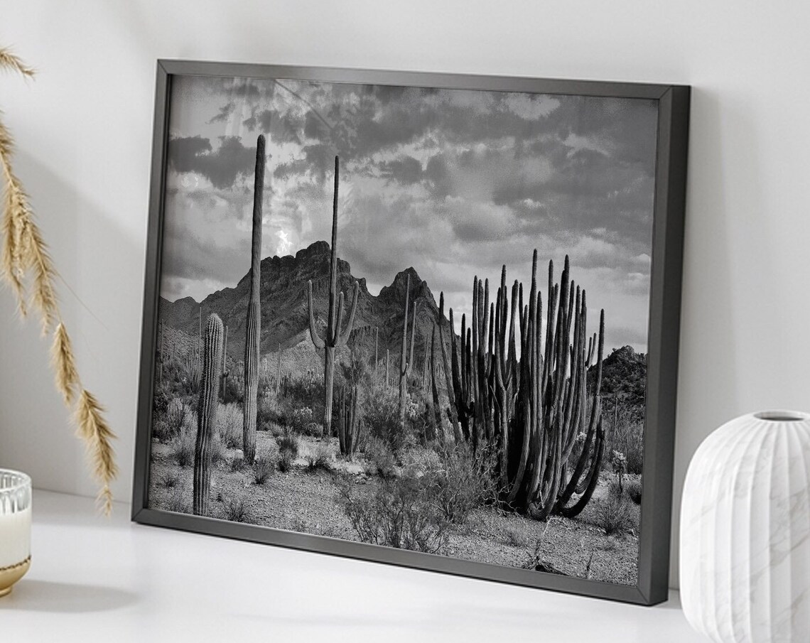 Vintage Desert Landscape, Southwestern Cactus Art Print