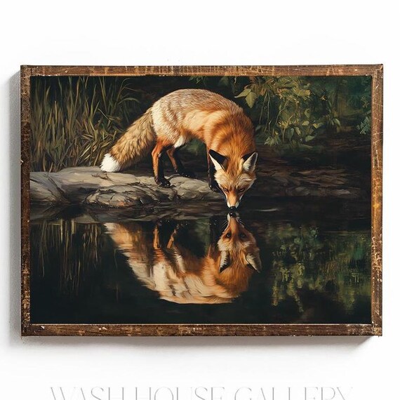 Red Fox Drinking At Forest Stream Its Reflection Realistic Poster