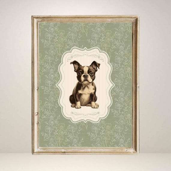 Vintage Boston Terrier Nursery Decor, Animal Sketch
