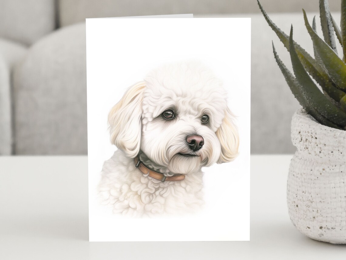 Bichon Frise Personalized Dog Birthday Art Print