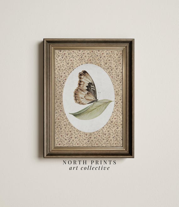 Vintage Butterfly and Moth Art Print, Farmhouse Decor
