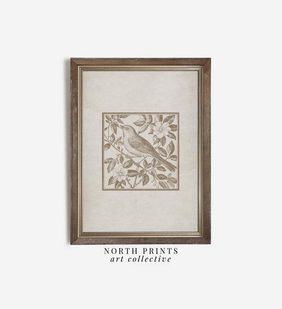 Antique Bird Print, Minimalist Neutral Farmhouse Decor