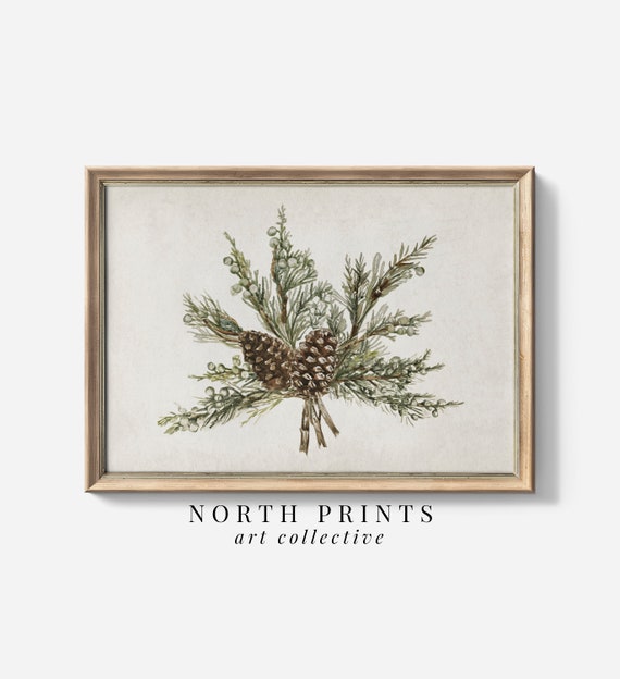 Country Christmas Botanical Juniper Branch Art Print