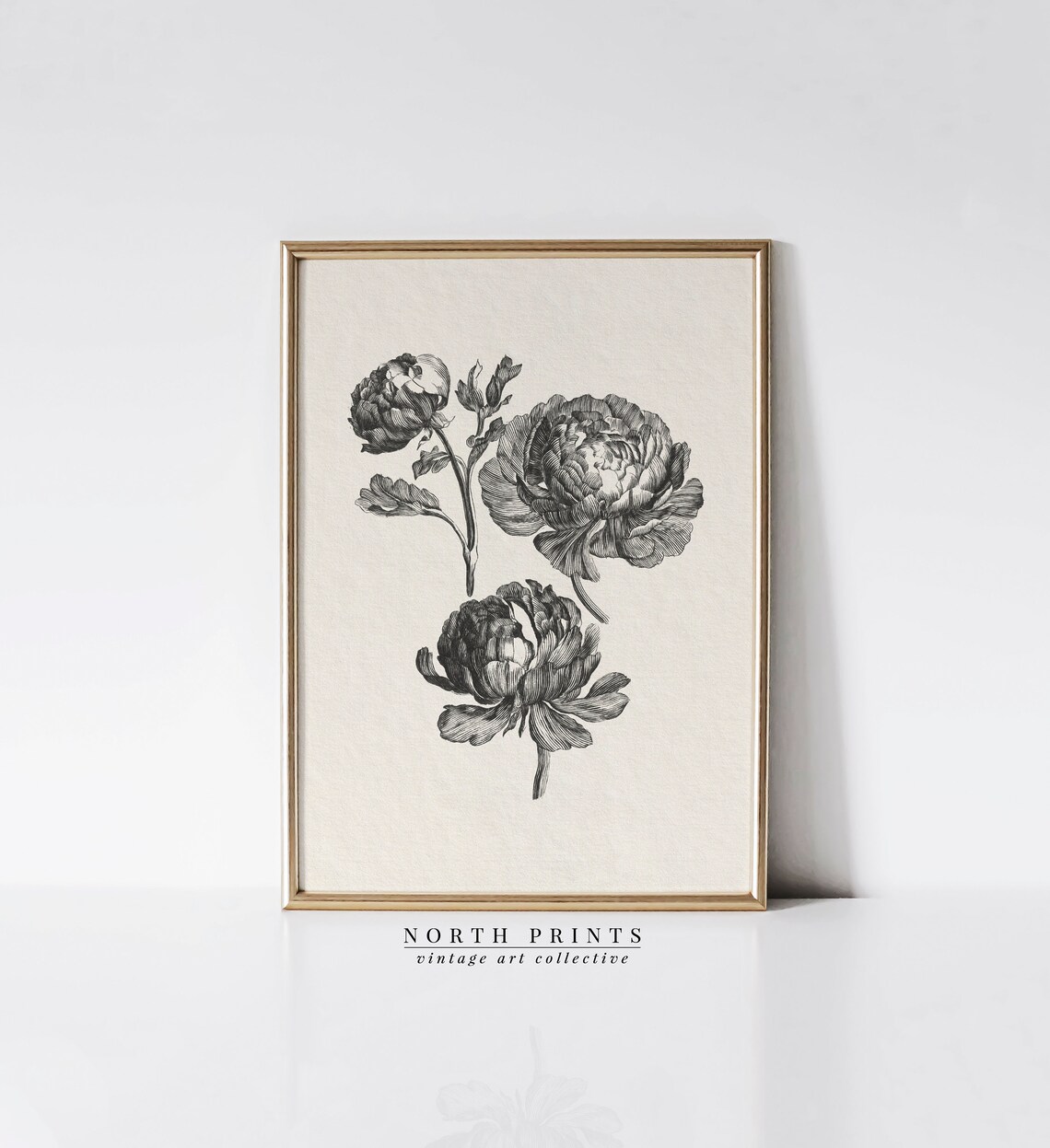 Vintage Peony Botanical Sketch, Farmhouse Kitchen Decor