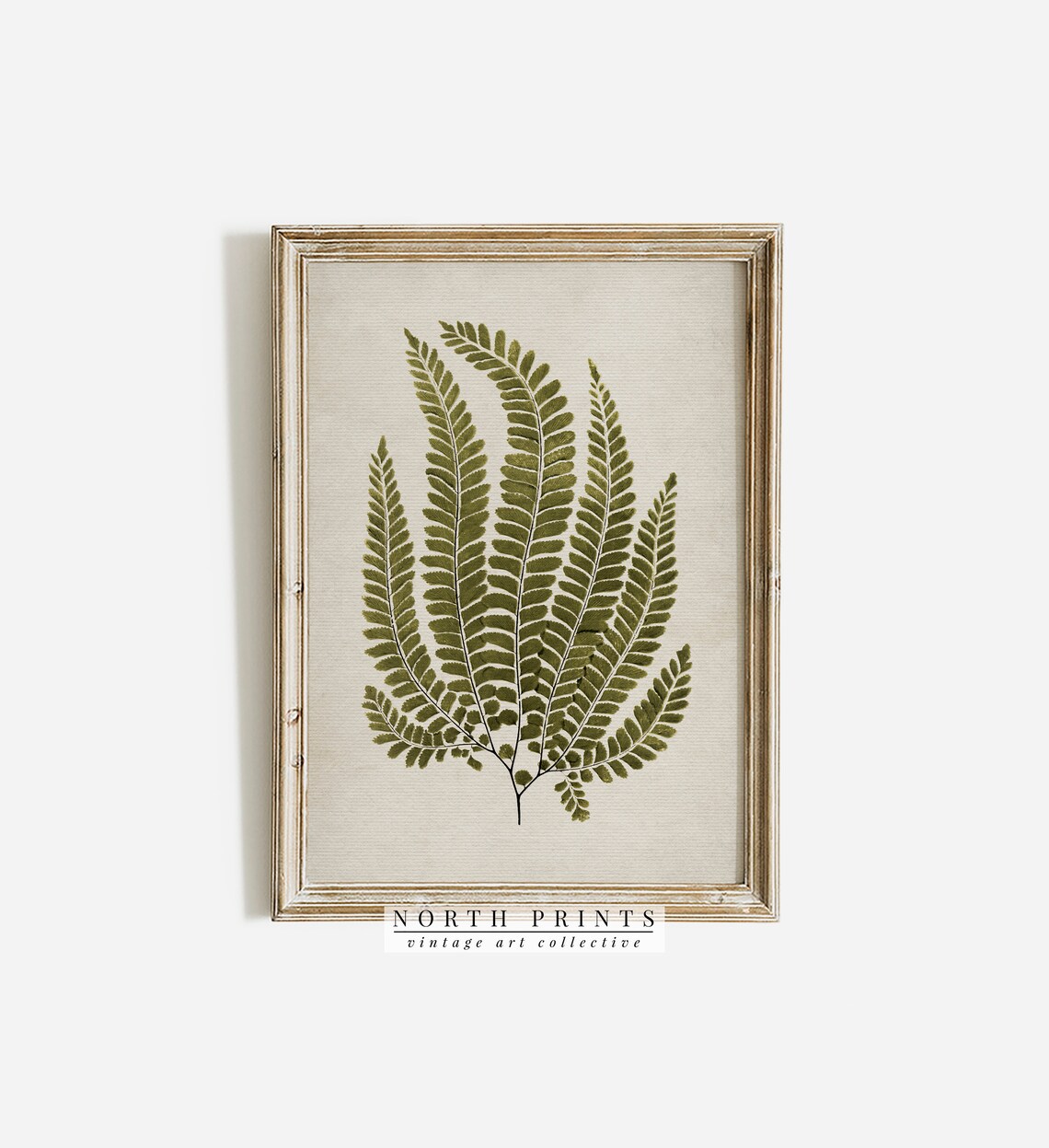 French Country Vintage Fern Art Print, Botanical - Image 2